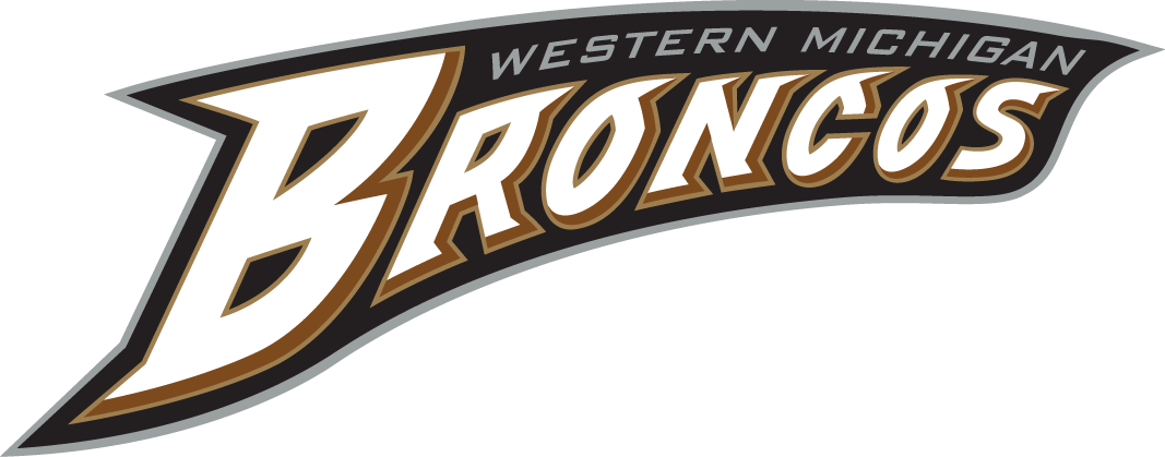 Western Michigan Broncos 1998-Pres Wordmark Logo diy fabric transfer